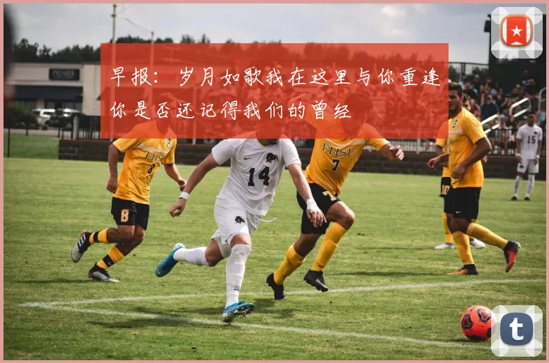 早报：岁月如歌我在这里与你重逢你是否还记得我们的曾经